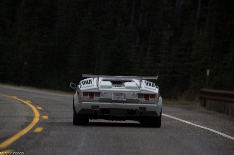Illustration for article titled Grey hairs gone wild. Owning a 911 Turbo Pt.15